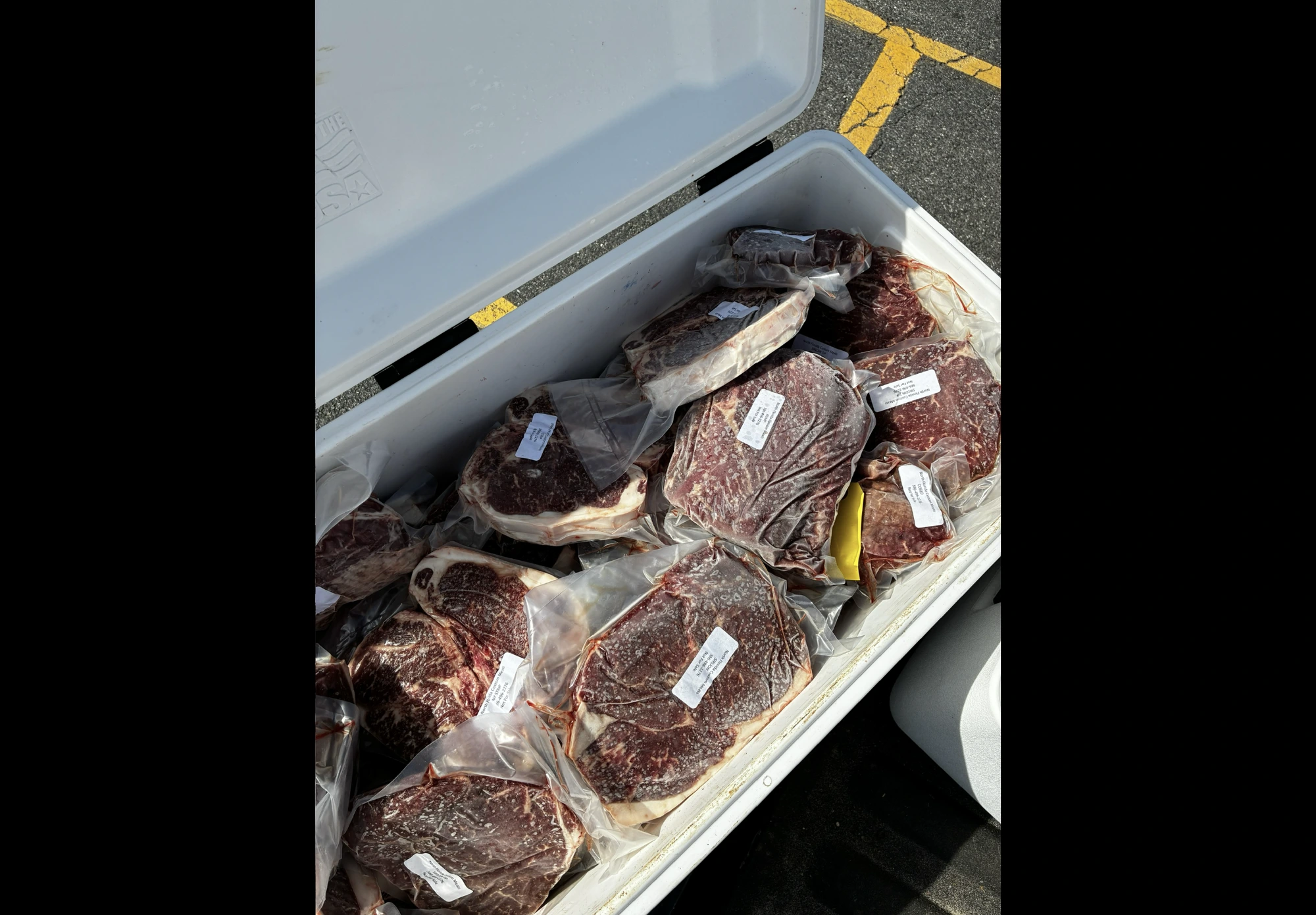 Heavy-duty cooler packed with vacuum-sealed beef for delivery